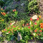 Guest house Plantagengut Hosterwitz 3*