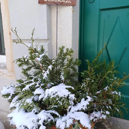 Plantagengut Hosterwitz بيت ضيافة