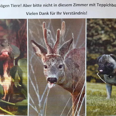 Vendégház Plantagengut Hosterwitz Drezda