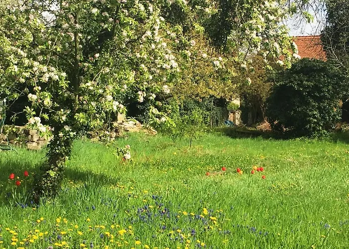 Plantagengut Hosterwitz Πανσιόν 3*