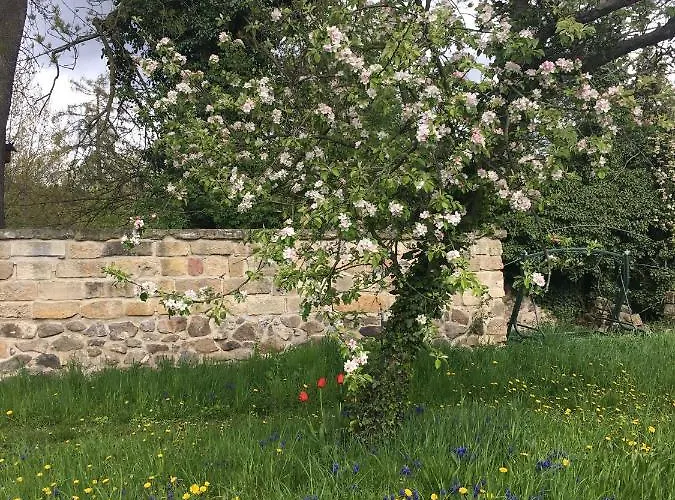 Plantagengut Hosterwitz Гостевой дом 3*