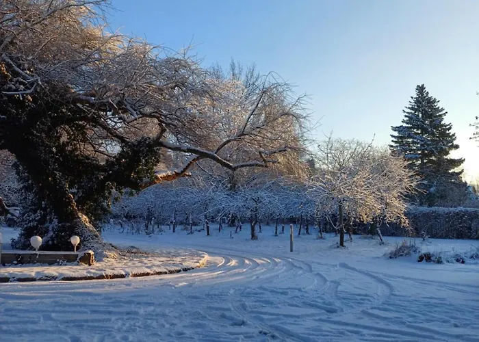 招待所 Plantagengut Hosterwitz