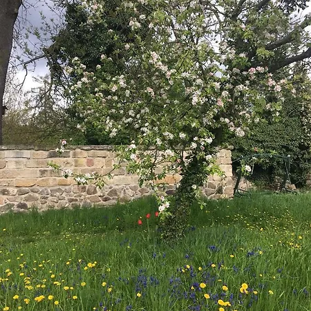 Plantagengut Hosterwitz 招待所 3*