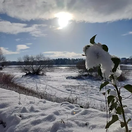 Plantagengut Hosterwitz 招待所