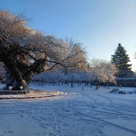 Konukevi Plantagengut Hosterwitz