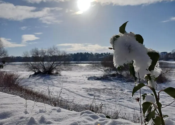 Plantagengut Hosterwitz ゲストハウス