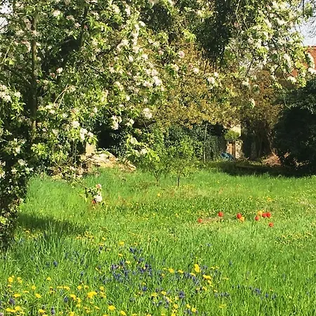 Plantagengut Hosterwitz Casa de hóspedes 3*